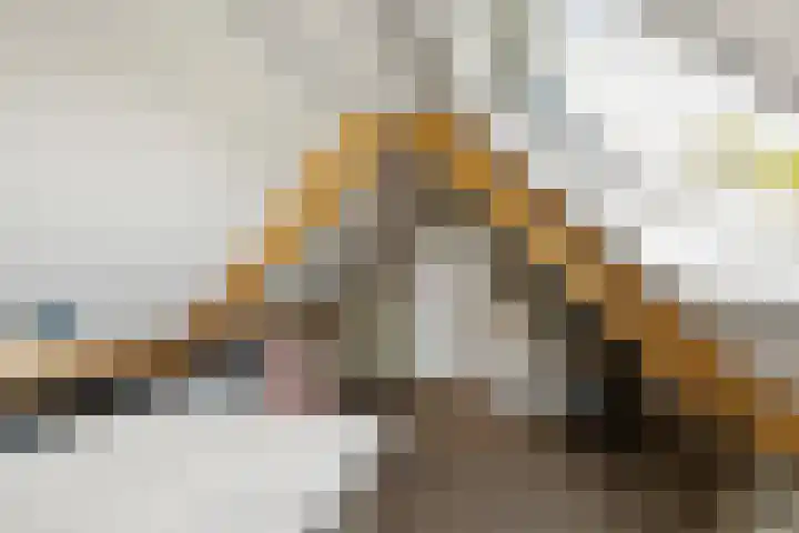 Wechterholt 11 b Wijhe thumbnail 29