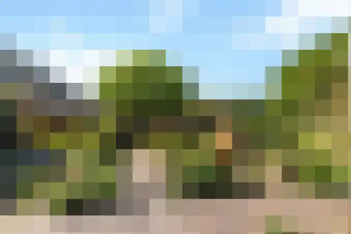 Wechterholt 11 b Wijhe thumbnail 30