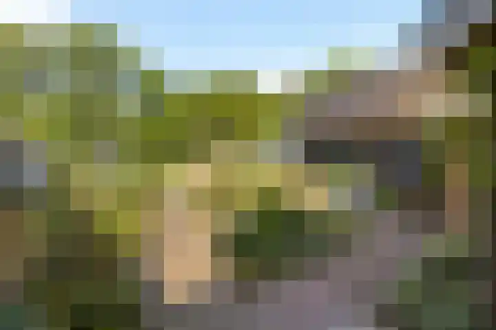 Wechterholt 11 b Wijhe thumbnail 32