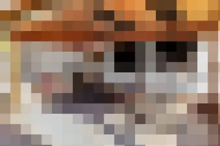 Wechterholt 11 b Wijhe thumbnail 35