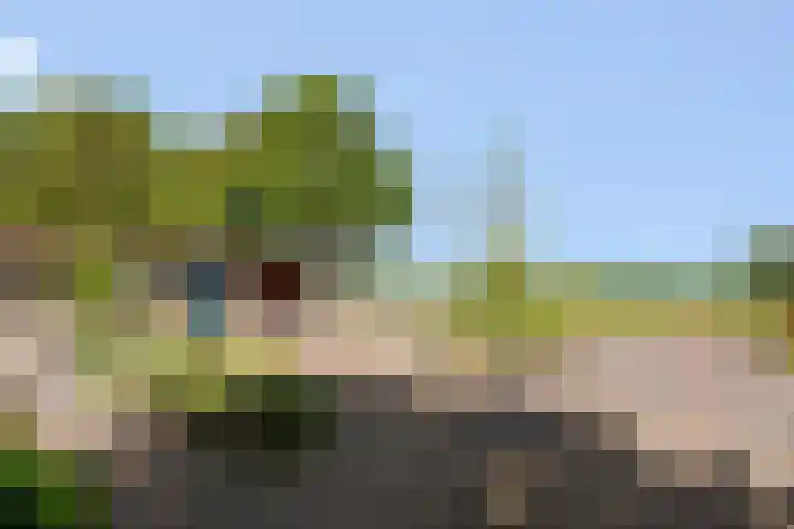 Wechterholt 11 b Wijhe thumbnail 37