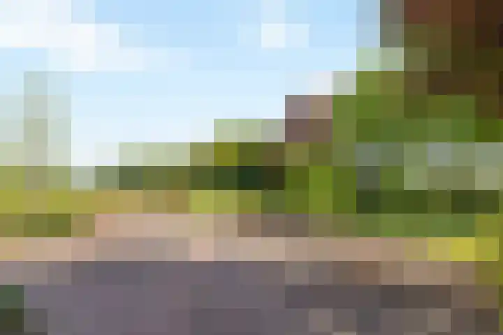 Wechterholt 11 b Wijhe thumbnail 38
