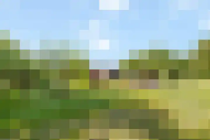 Wechterholt 11 b Wijhe thumbnail 39