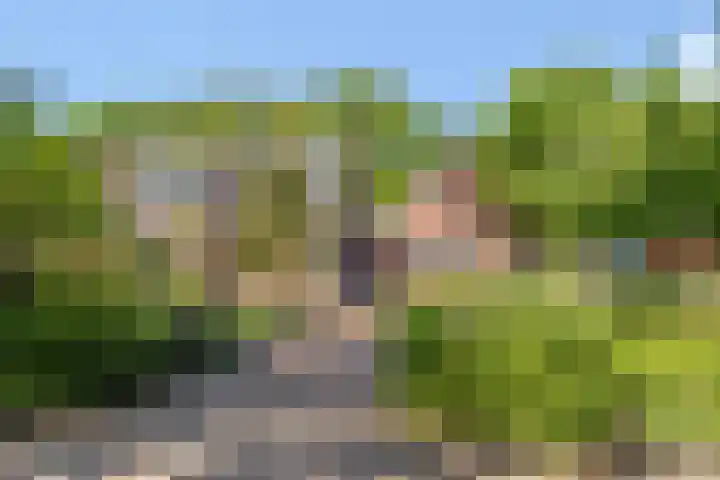 Wechterholt 11 b Wijhe thumbnail 4