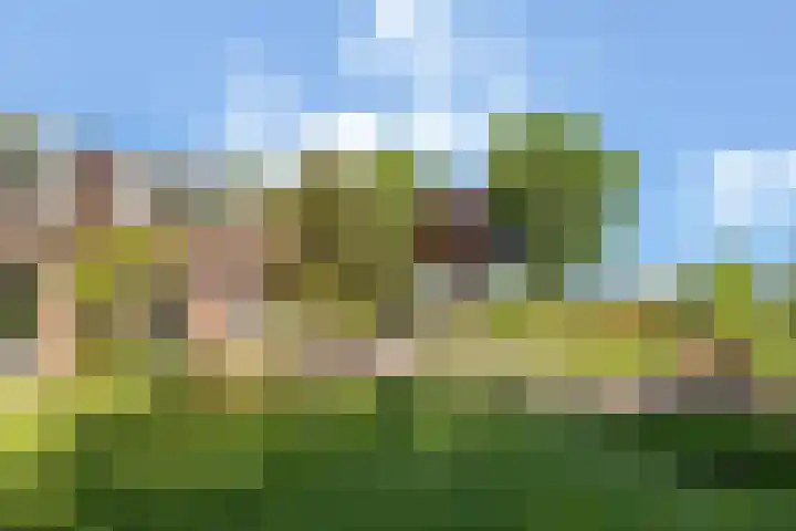 Wechterholt 11 b Wijhe thumbnail 40