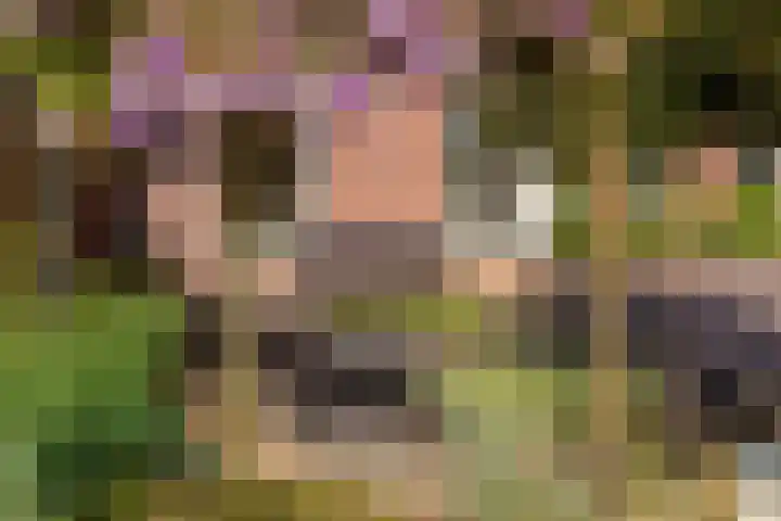Wechterholt 11 b Wijhe thumbnail 41