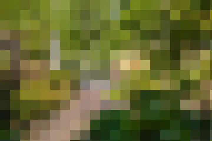 Wechterholt 11 b Wijhe thumbnail 42