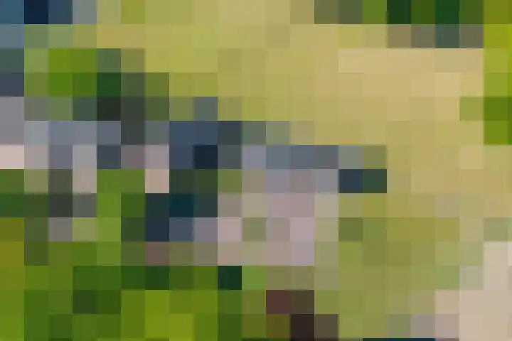 Wechterholt 11 b Wijhe thumbnail 43