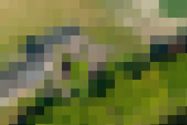 Wechterholt 11 b Wijhe thumbnail 44