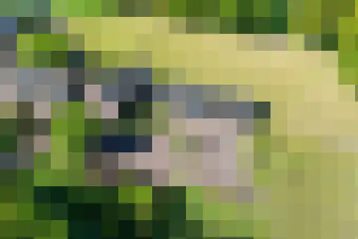 Wechterholt 11 b Wijhe thumbnail 45