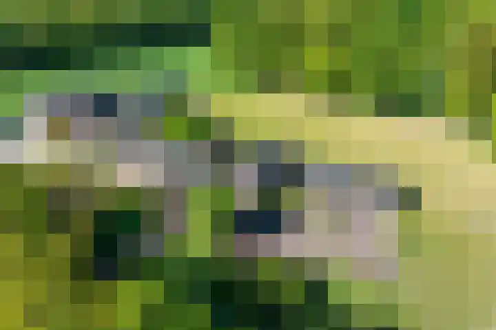 Wechterholt 11 b Wijhe thumbnail 46