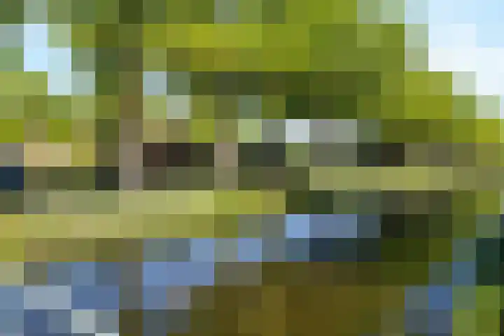 Wechterholt 11 b Wijhe thumbnail 47