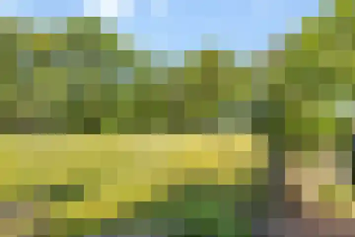 Wechterholt 11 b Wijhe thumbnail 48