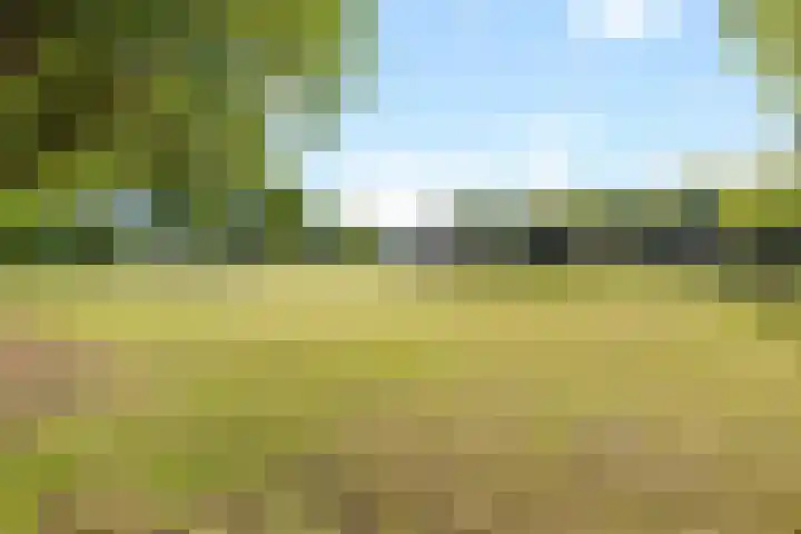 Wechterholt 11 b Wijhe thumbnail 49