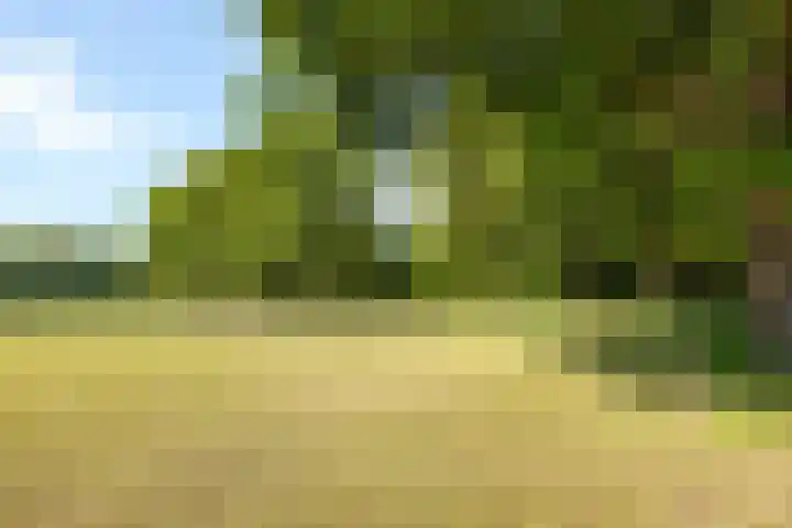 Wechterholt 11 b Wijhe thumbnail 50