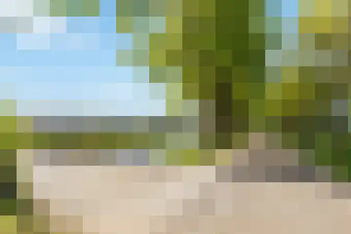 Wechterholt 11 b Wijhe thumbnail 52