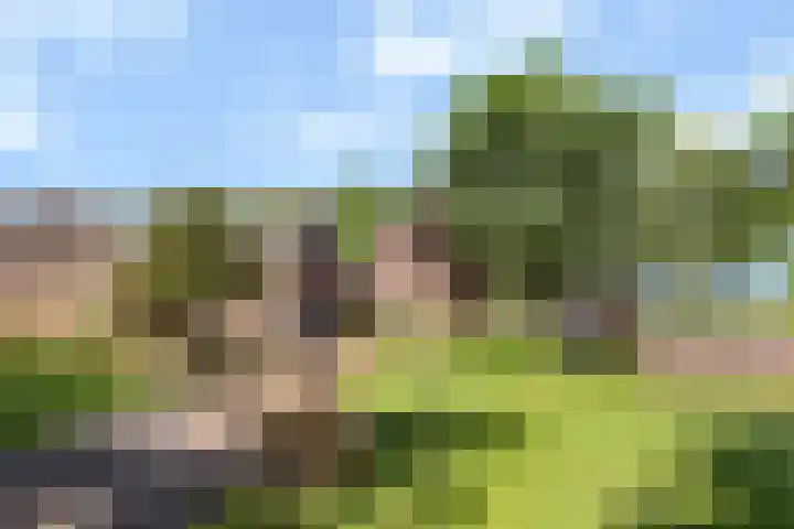 Wechterholt 11 b Wijhe thumbnail 53
