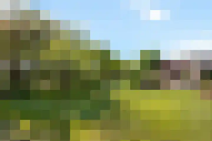 Wechterholt 11 b Wijhe thumbnail 6