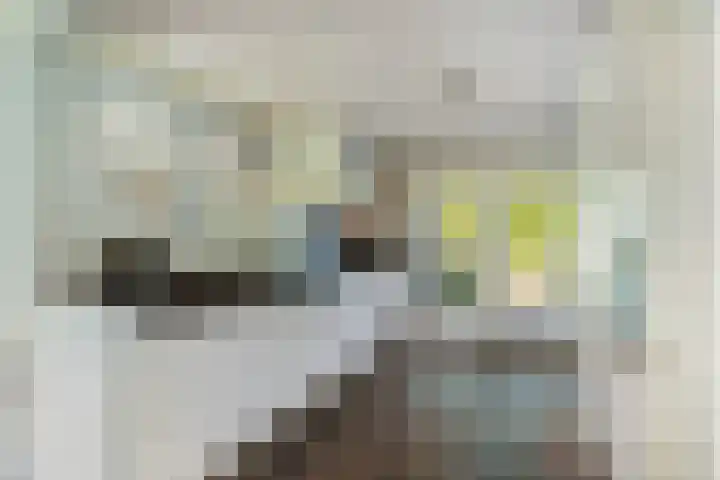 Wechterholt 11 b Wijhe thumbnail 8
