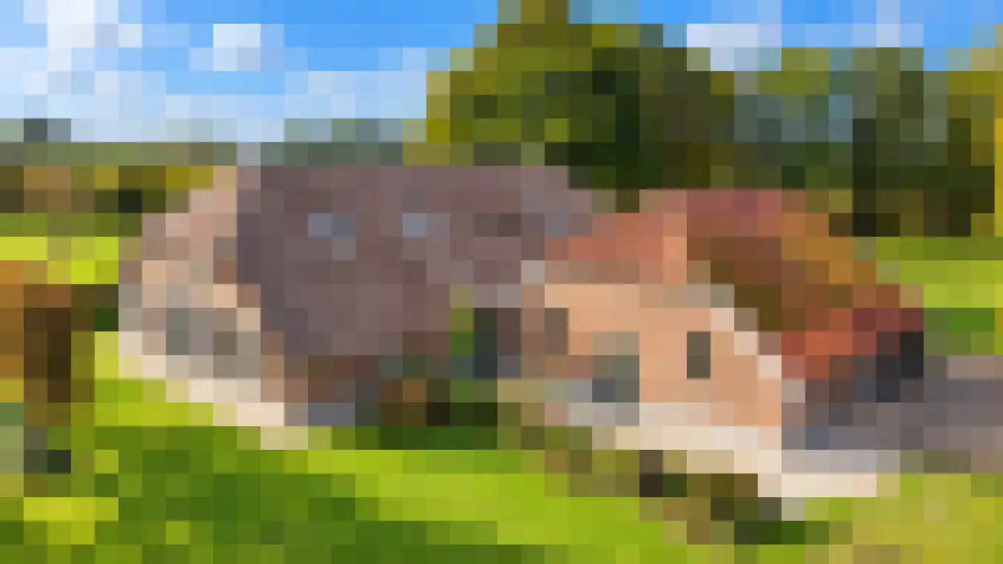 Wechterholt 31 Wijhe