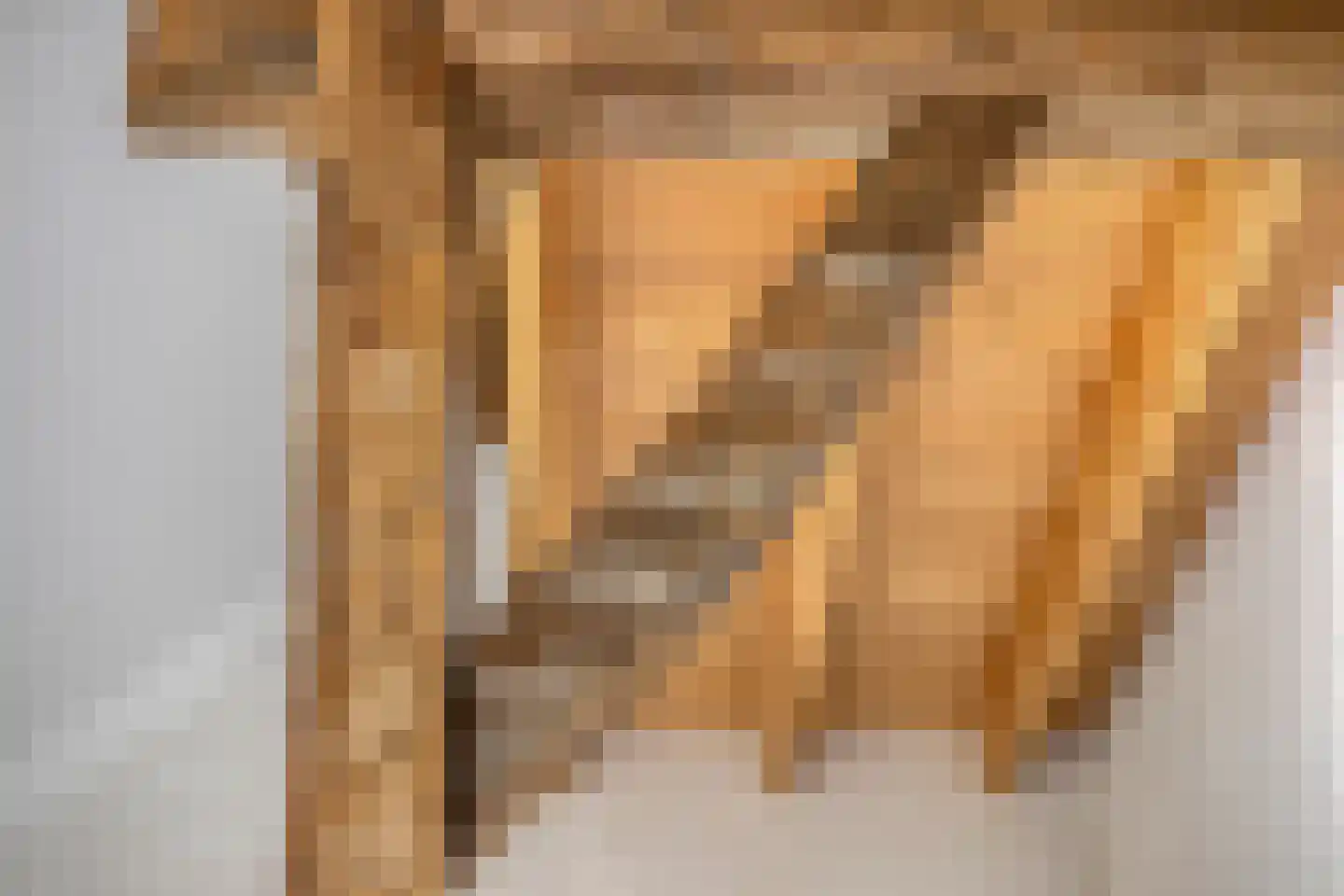 Wechterholt 31 Wijhe thumbnail 16