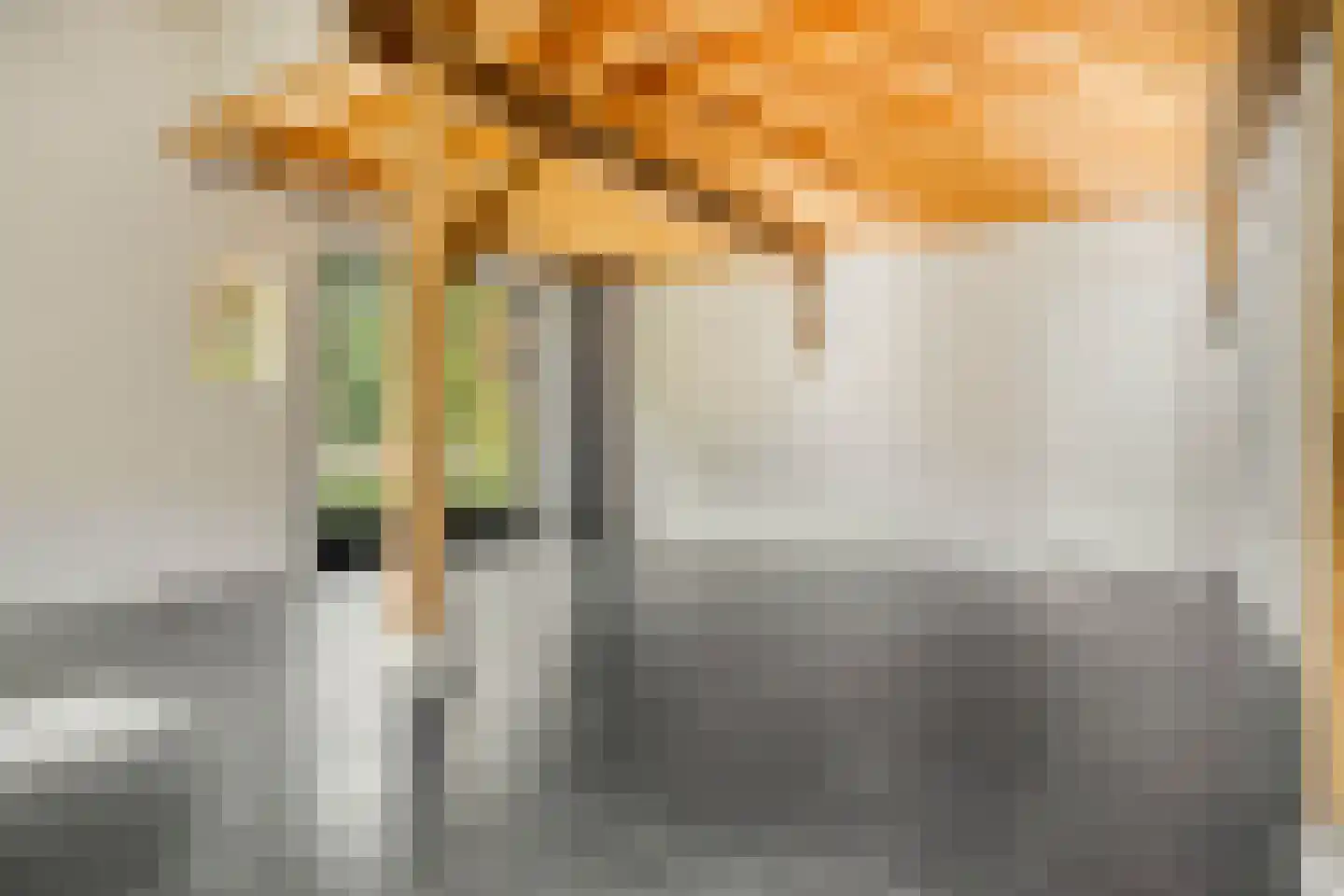 Wechterholt 31 Wijhe thumbnail 20