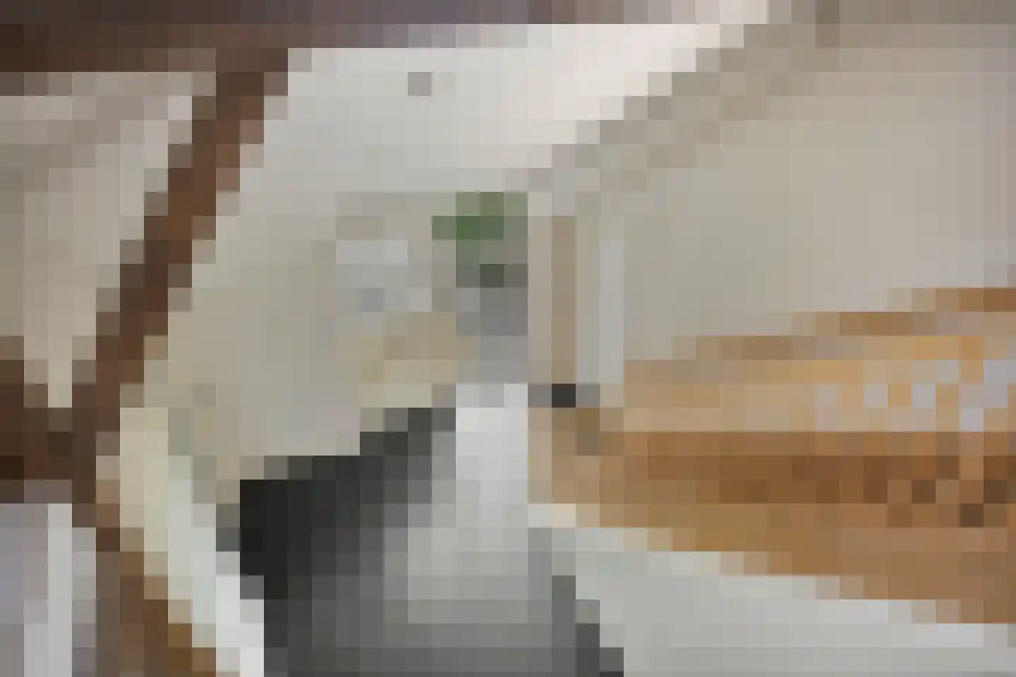 Wechterholt 31 Wijhe thumbnail 31