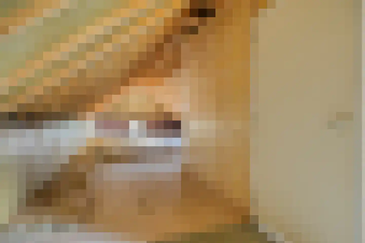 Wechterholt 31 Wijhe thumbnail 33