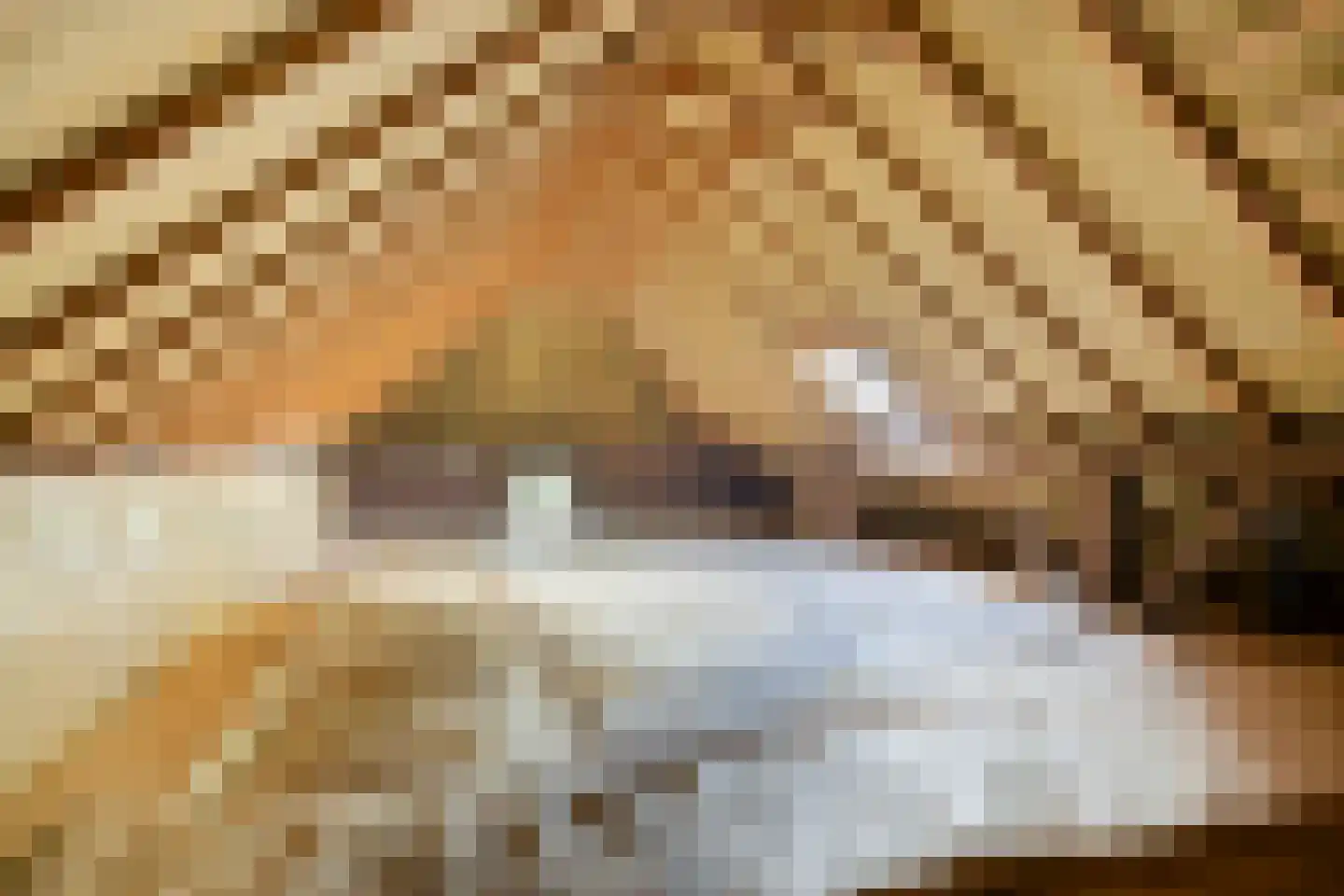 Wechterholt 31 Wijhe thumbnail 34
