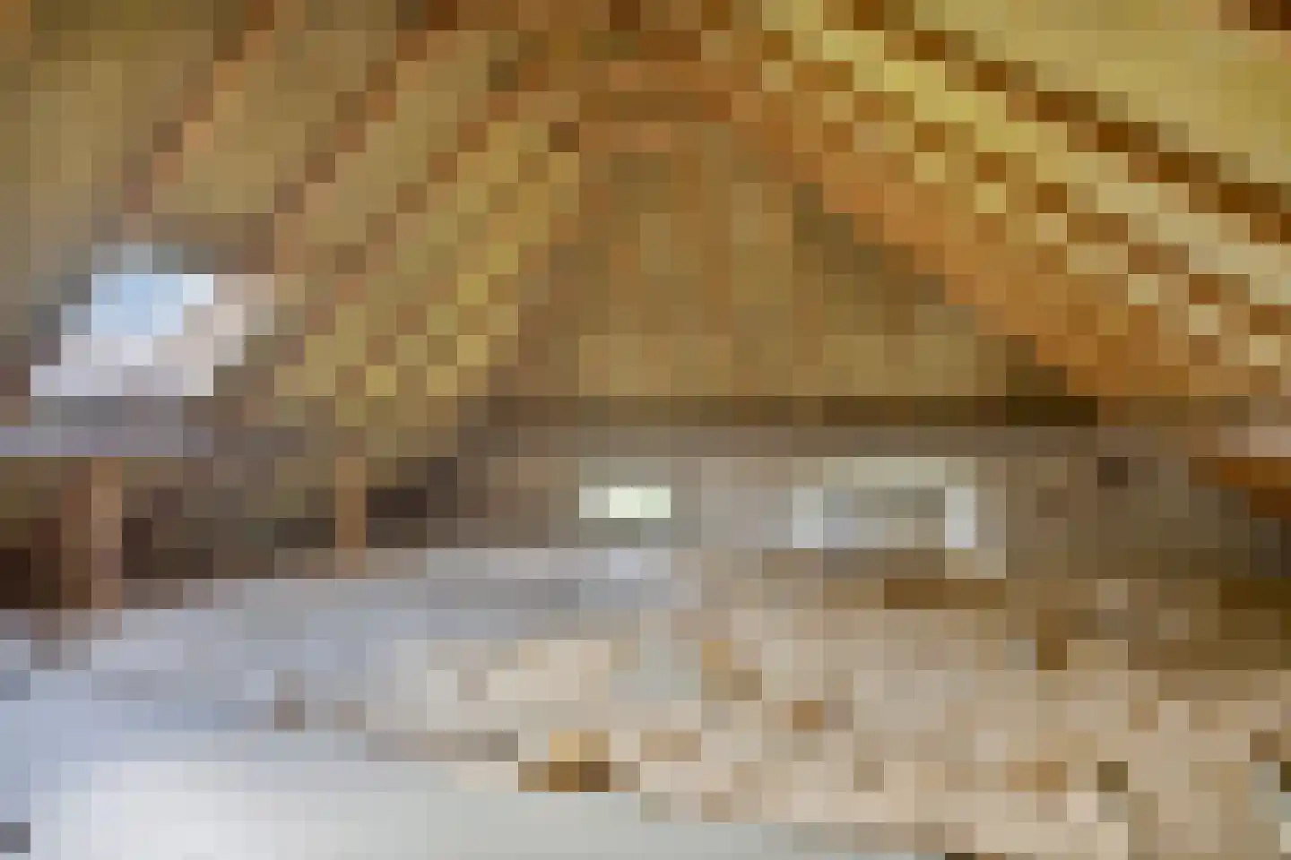 Wechterholt 31 Wijhe thumbnail 35