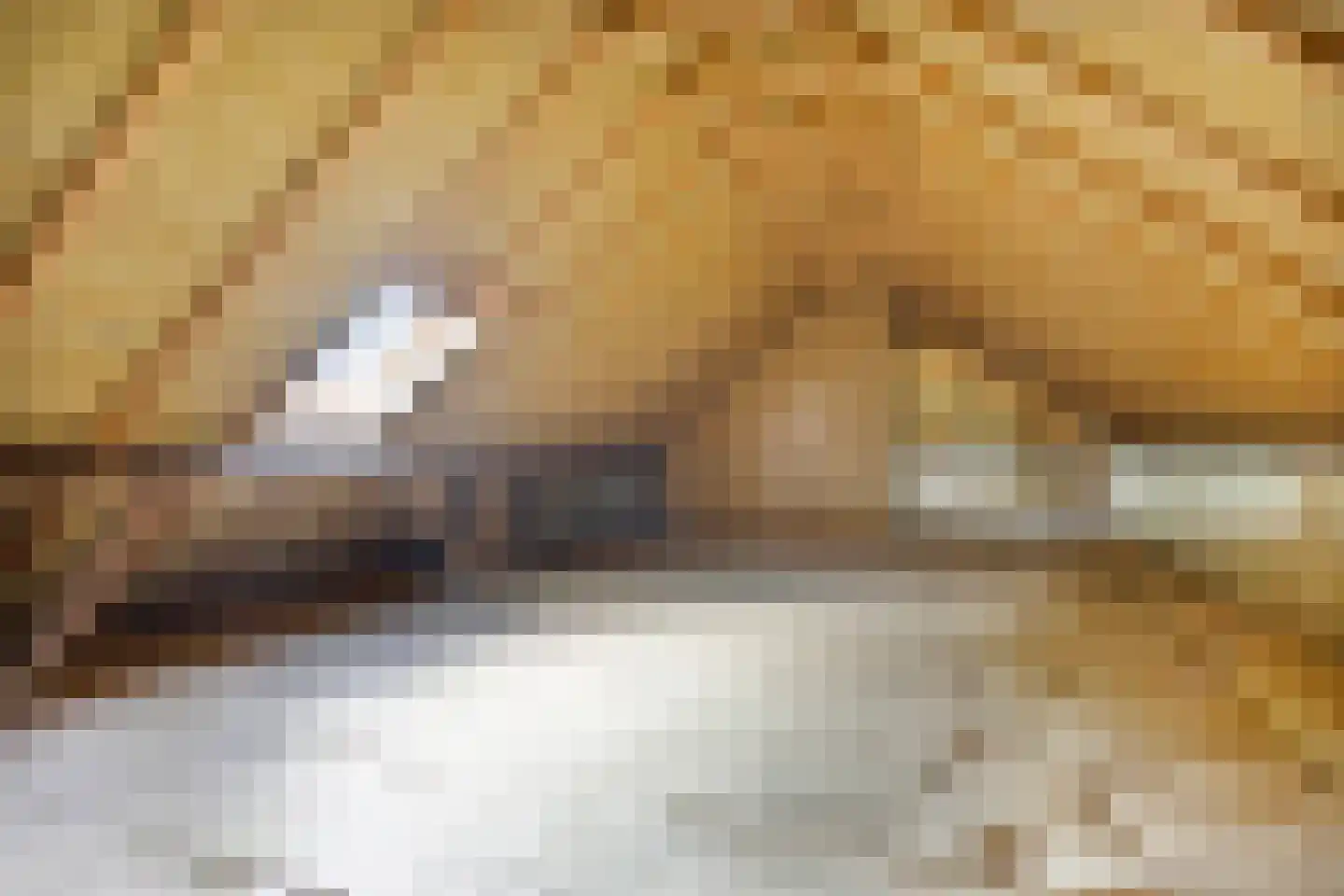 Wechterholt 31 Wijhe thumbnail 36