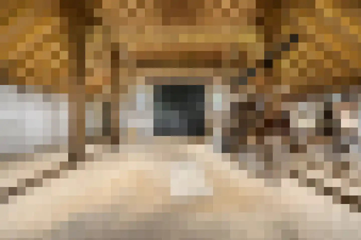 Wechterholt 31 Wijhe thumbnail 39