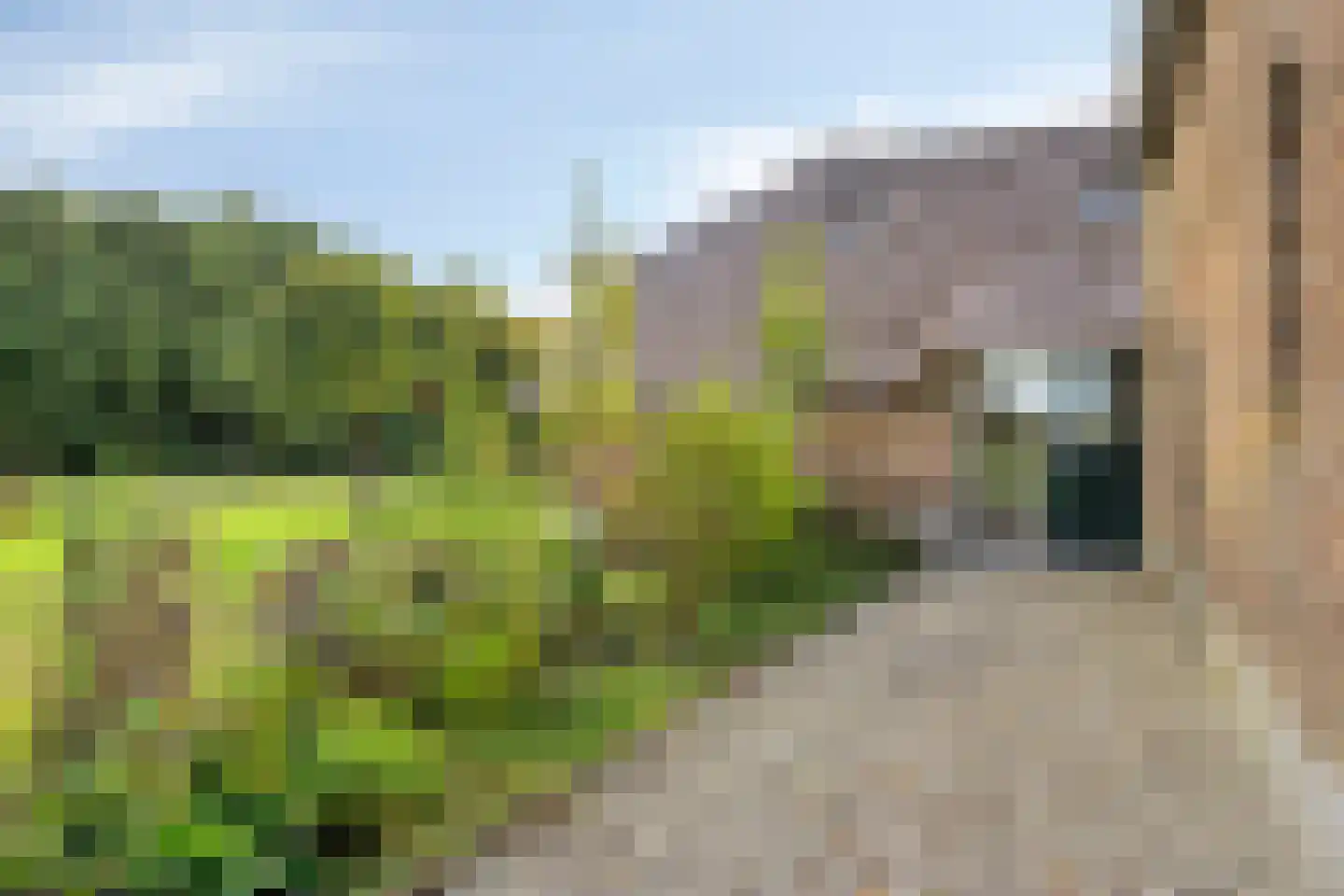Wechterholt 31 Wijhe thumbnail 4