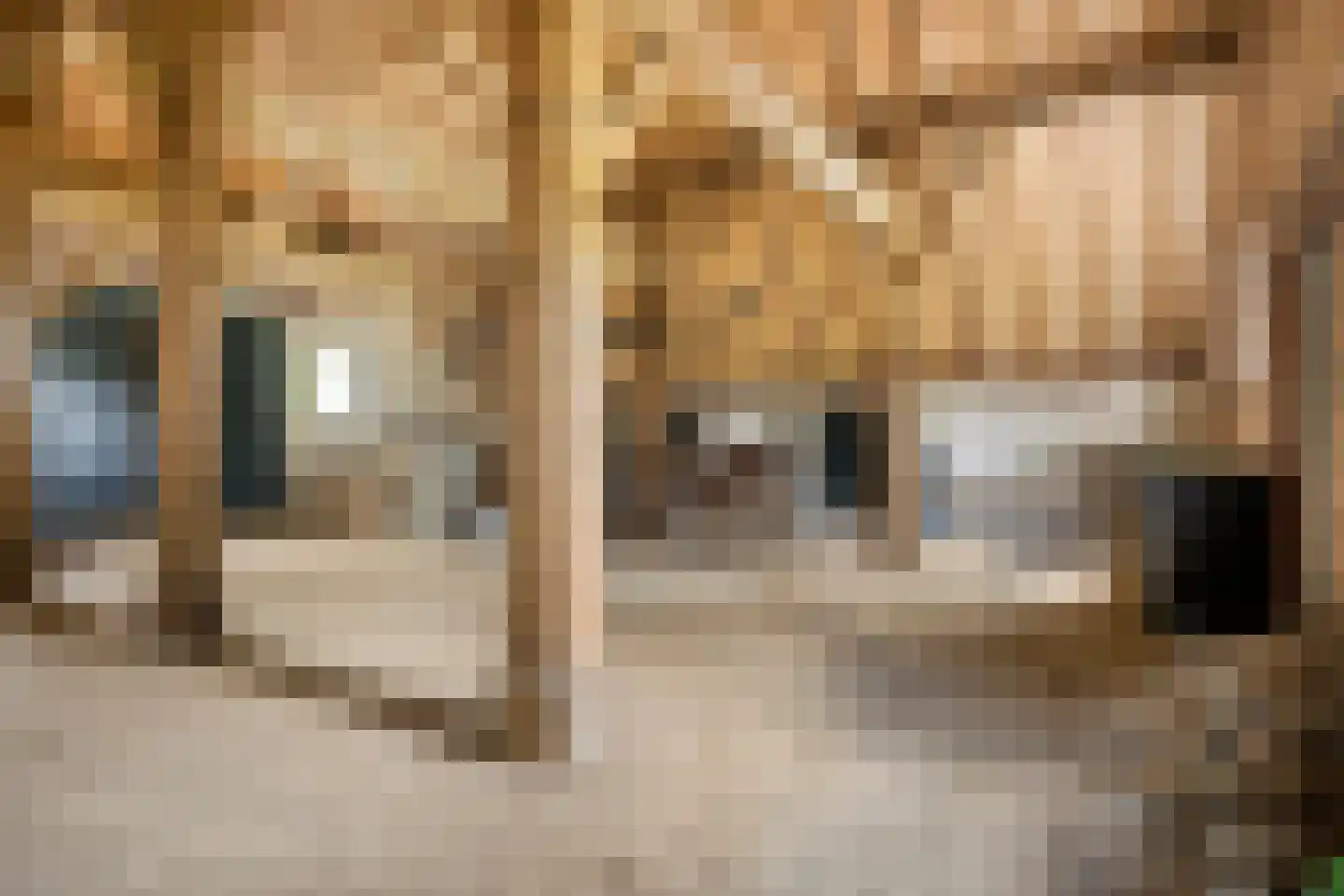 Wechterholt 31 Wijhe thumbnail 40