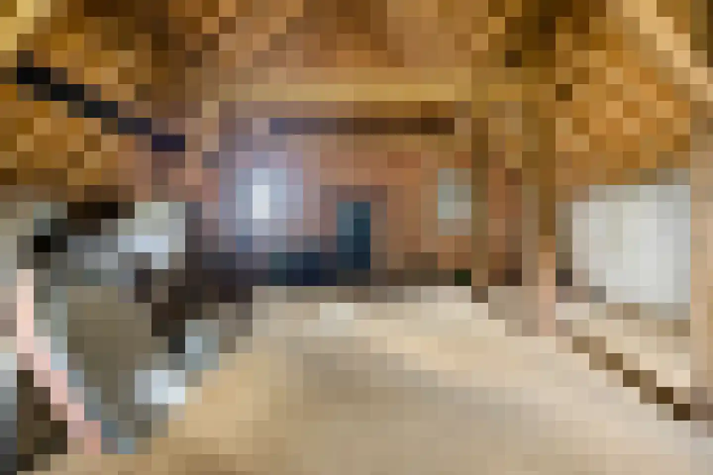 Wechterholt 31 Wijhe thumbnail 41