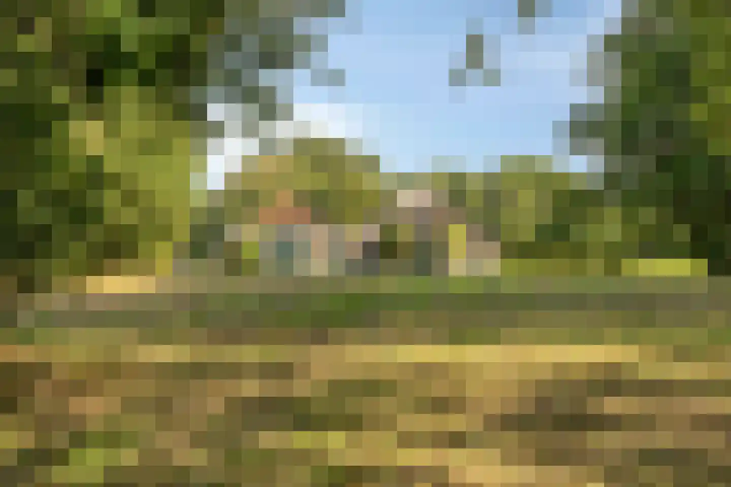 Wechterholt 31 Wijhe thumbnail 46