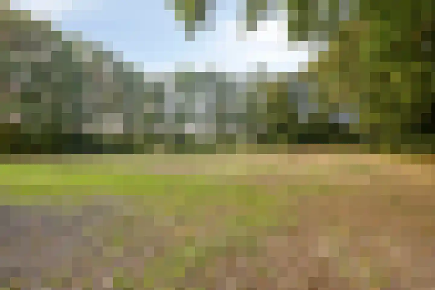 Wechterholt 31 Wijhe thumbnail 49