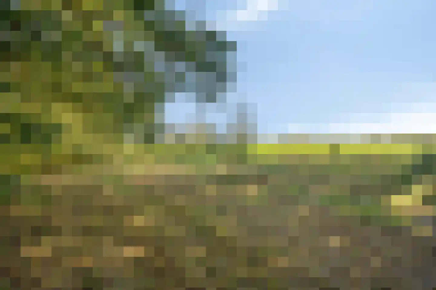 Wechterholt 31 Wijhe thumbnail 52