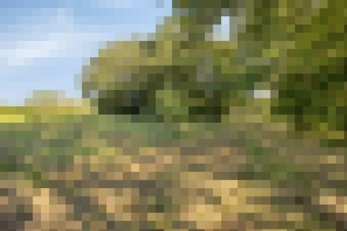 Wechterholt 31 Wijhe thumbnail 53