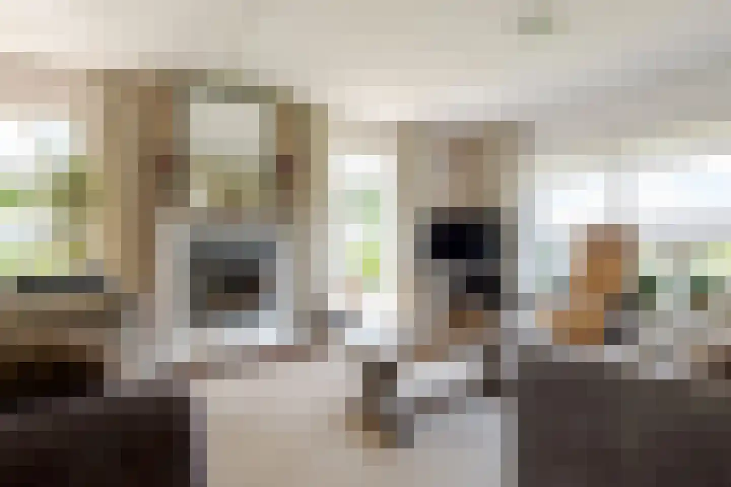 Wechterholt 39 Wijhe thumbnail 18