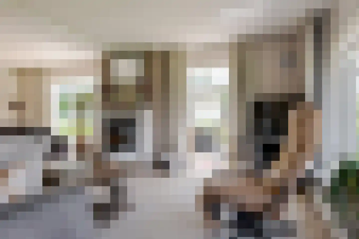 Wechterholt 39 Wijhe thumbnail 20