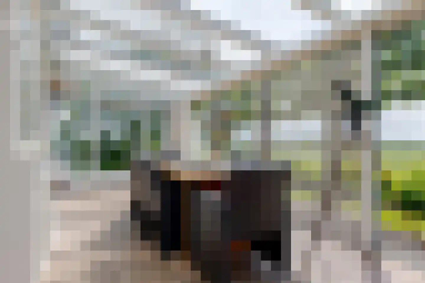 Wechterholt 39 Wijhe thumbnail 26