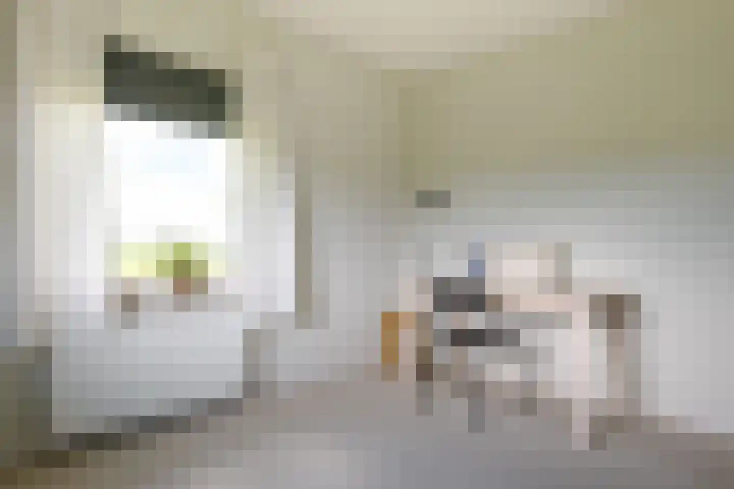 Wechterholt 39 Wijhe thumbnail 42