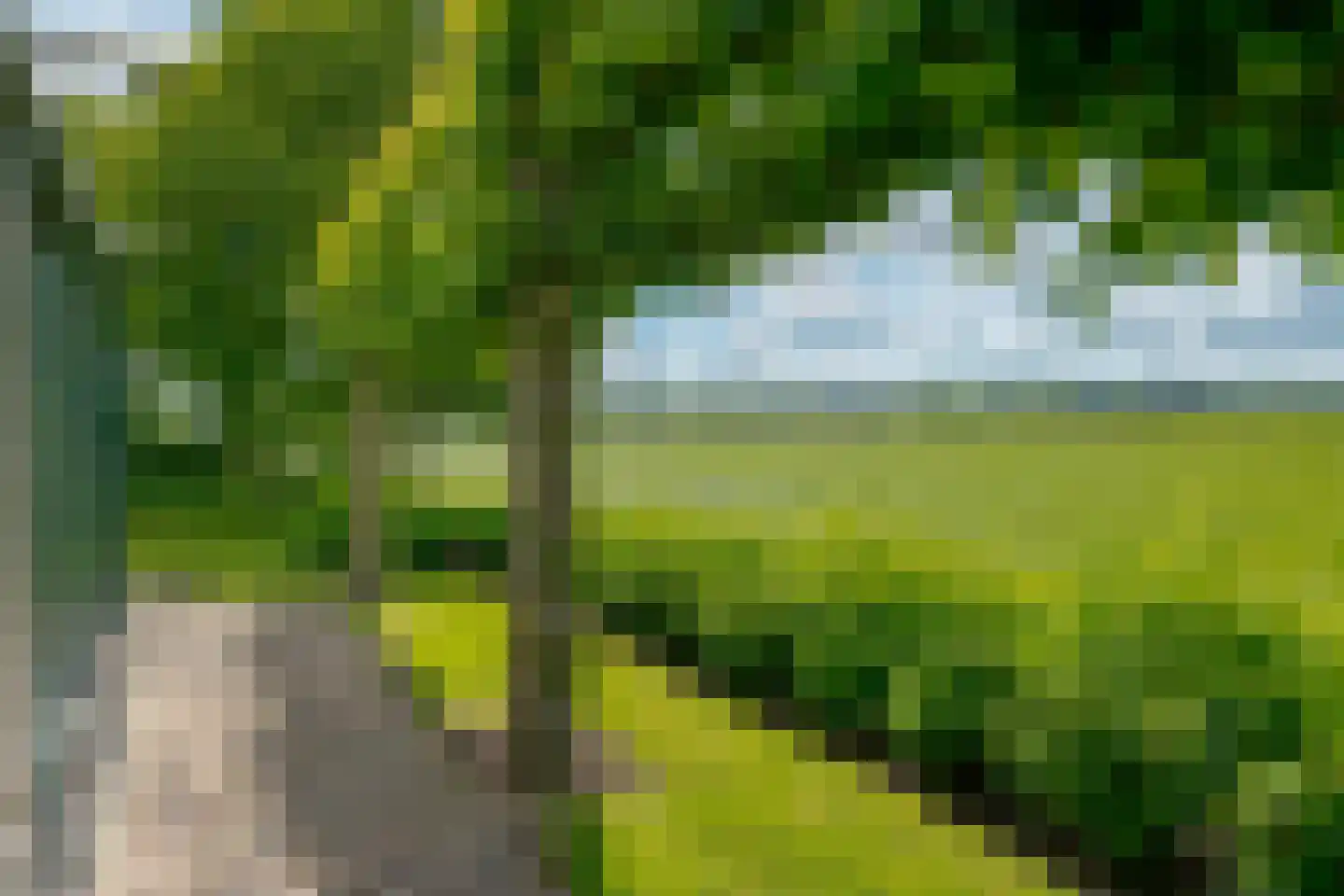 Wechterholt 39 Wijhe thumbnail 50