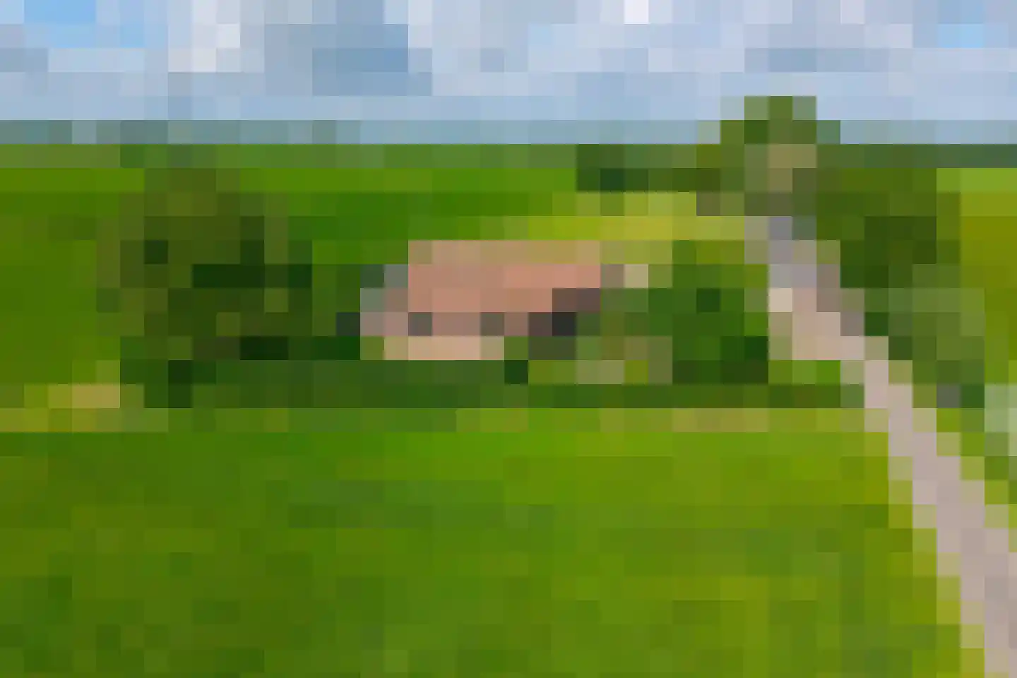 Wechterholt 39 Wijhe thumbnail 54