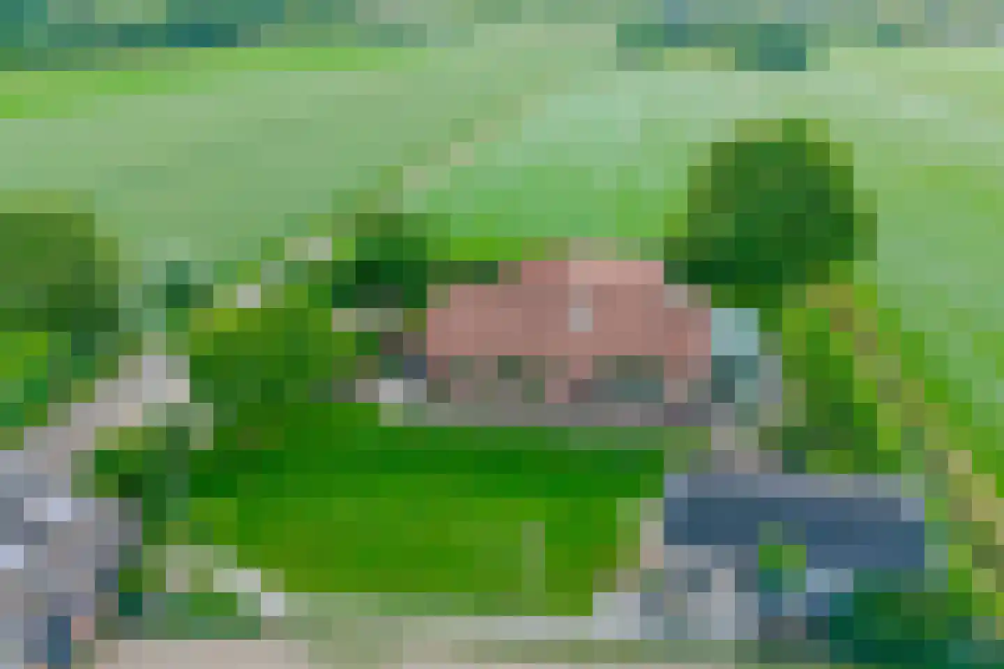 Wechterholt 39 Wijhe thumbnail 55
