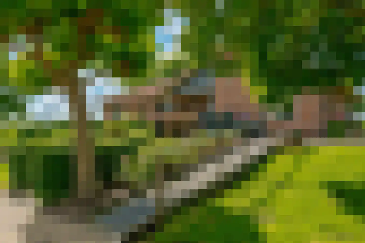 Wechterholt 39 Wijhe thumbnail 60