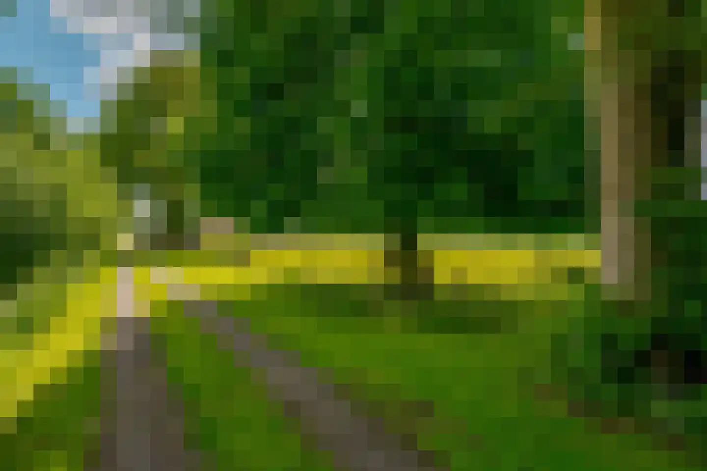 Wechterholt 39 Wijhe thumbnail 70