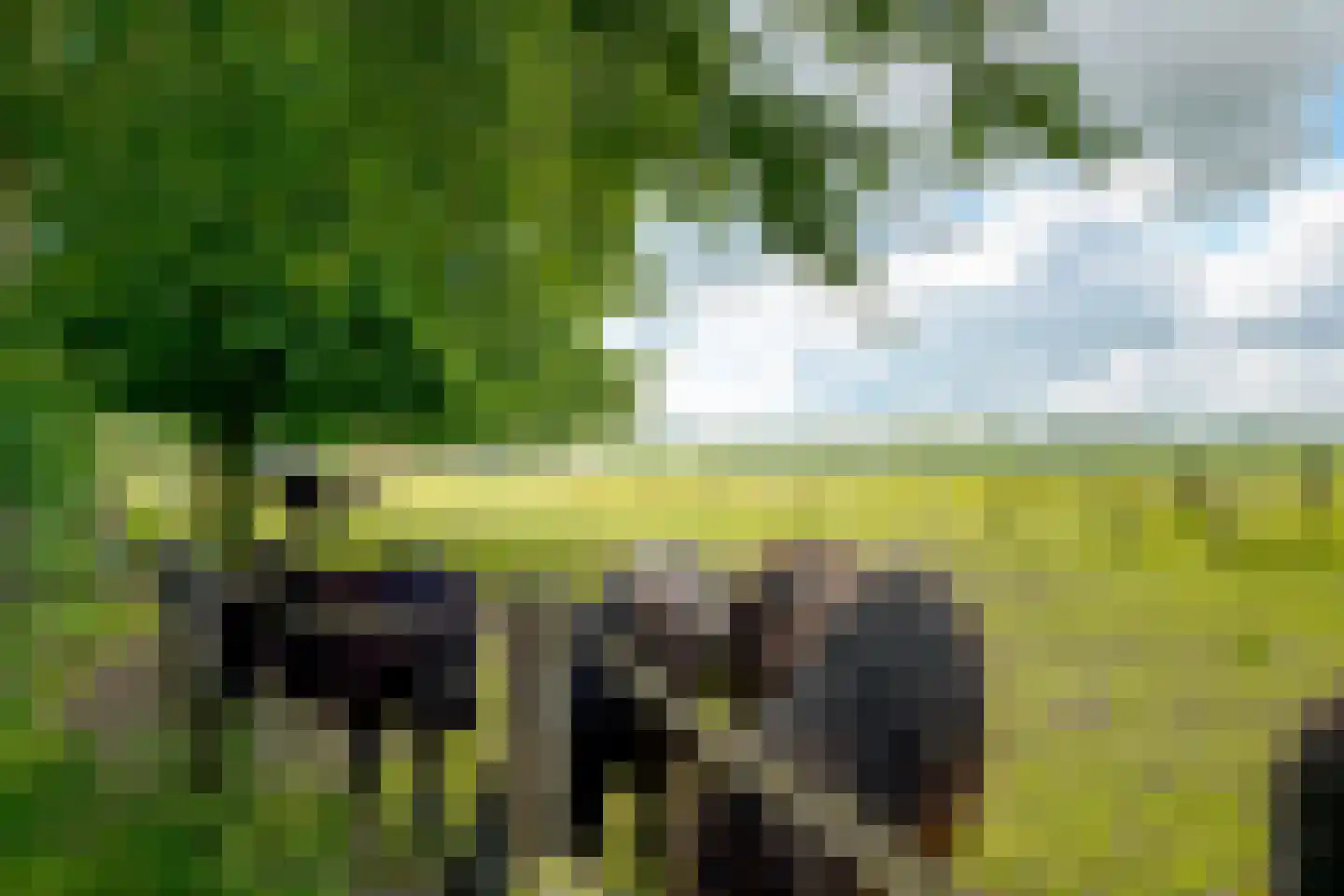 Wechterholt 39 Wijhe thumbnail 71