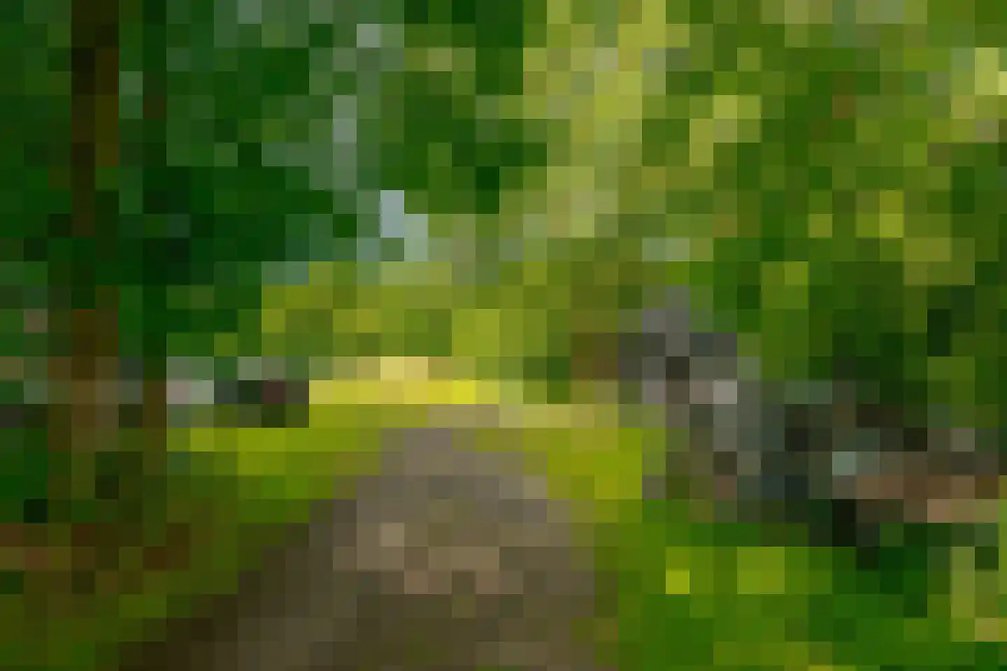 Wechterholt 39 Wijhe thumbnail 72